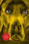 Anke Feuchtenberger: Der Spalt, Buch, Buch