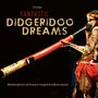Folklore: Thors: Fantastic Didgeridoo Dreams, CD