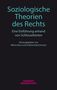 Soziologische Theorien des Rechts, Buch