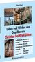 Peter Ernst: Leben und Wirken des Orgelbauers Christian Gottfried Dittus, Buch