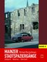Michael Bermeitinger: Mainzer Stadtspaziergänge VIII, Buch, Buch