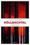Sonja Silberhorn: Höllbachtal, Buch