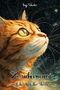 „Zaubermaus und der Ruf der Sterne“. Titelbild: Nahaufnahme einer orangen Katze, die in den Sternenhimmel blickt., Buch