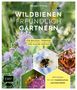 Bärbel Oftring: Wildbienenfreundlich gärtnern für Balkon, Terrasse und kleine Gärten, Buch