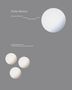 : Public Matters. Debatten & Dokumente aus dem Skulptur Projekte Archiv, Buch