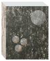 : Public Matters. Debates & Documents from the Skulptur Projekte Archives, Buch