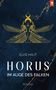 „ELKE HAUT, HORUS IM AUGE DES FALKEN, ROMAN“ steht auf einem künstlerischen Cover mit goldenen, geflügelten Figuren., Buch