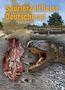 Tom Hübner: SaurierZeitReise, Buch