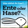 Amy Krouse Rosenthal: Ente oder Hase? Was siehst du hier?, Buch