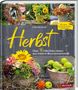 Ulrike Schmidt: Herbst, Buch