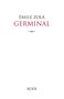 Émile Zola: Germinal, Buch