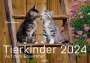 Klein: Tierkinder auf dem Bauernhof Kalender 2024, KAL