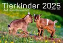 J. -L. Klein: Tierkinder auf dem Bauernhof Kalender 2025, KAL