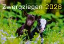 J. -L. Klein: Kalender Zwergziegen 2026, KAL