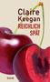 Claire Keegan: Reichlich spät, Buch