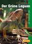 Gunther Köhler: Der Grüne Leguan im Terrarium, Buch