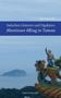 Ilka Schneider: Zwischen Geistern und Gigabytes - Abenteuer Alltag in Taiwan, Buch
