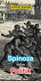 Étienne Balibar: Spinoza und die Politik, Buch