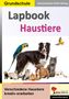 Autorenteam Kohl-Verlag: Lapbooks Haustiere, Buch