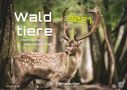 Waldtiere 2027, Heimische Waldbewohner, Der Tierkalender. Ein Hirsch mit großem Geweih im Wald.