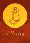 Shan Li: Die 13 Shaolin, Buch