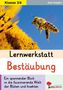 Axel Gutjahr: Lernwerkstatt Bestäubung, Buch