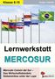 Holger Cebulla: Lernwerkstatt MERCOSUR, Buch