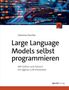 Sebastian Raschka: Large Language Models selbst programmieren, Buch