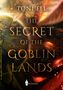 Toni Ell: The Secret of the Goblin Lands, Buch