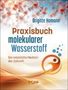 Brigitte Hamann: Praxisbuch molekularer Wasserstoff, Buch