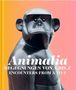Text: "Animalia. Begegnungen von A bis Z. Encounters from A to Z." Schwarze Affenskulptur, Hintergrund in Orange und Rosa.