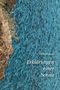 Text: "Michael Busse, Erklärungen einer Sonne." Zu sehen ist eine Küste mit blauem Wasser in abstrakten Farben., Buch