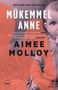 Aimee Molloy: Mükemmel Anne, Buch