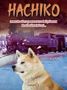Leslea Newman: Hachiko Ciltli, Buch
