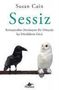 Susan Cain: Sessiz, Buch