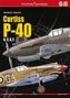 Mariusz Lukasik: Curtiss P-40 B, C, D, E, Buch