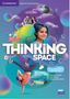 Herbert Puchta: Thinking Space B2 Teacher's Book with Digital Pack, Buch
