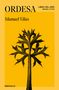 Manuel Vilas: Ordesa, Buch