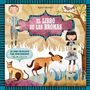 Agnese Baruzzi: Libro de Las Bromas, El, Buch