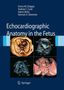 Enrico Chiappa: Echocardiographic Anatomy in the Fetus, Buch