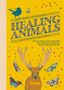 Federica Zizzari Kikosmica: Healing Animals, Buch