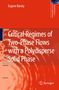 Eugene Barsky: Critical Regimes of Two-Phase Flows with a Polydisperse Solid Phase, Buch