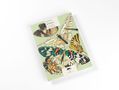 "Artistic Colouring Book, Butterflies, 16 sheets, 12 designs, PEPIN". Illustration von Schmetterlingen in lebhaften Farben., Buch