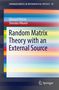 Text oben: "SPRINGER BRIEFS IN MATHEMATICAL PHYSICS 19". Unten: Autoren, Titel "Random Matrix Theory with an External Source". Logo unten. Bunt gestreift.