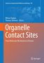 Titel: "Organelle Contact Sites: From Molecular Mechanism to Disease". Herausgeber: Mitsuo Tagaya, Thomas Simmen.