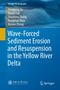 Titel: "Wave-Forced Sediment Erosion and Resuspension in the Yellow River Delta". Autoren: Yonggang Jia, Xiaolei Liu, Shaotong Zhang, Hongxian Shan, Jiewen Zheng. Blaues Cover mit Wellenbild.
