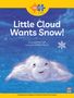 Gwen Lee: Read + Play Social Skills Bundle 1 - Little Cloud Wants Snow!, Buch