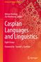 Titel: "Caspian Languages and Linguistics"; Autoren: Alireza Korangy, Zia Khoshsirat. Roter Hintergrund mit Teppichmuster., Buch