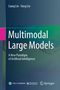 Text: "Liang Lin · Yang Liu. Multimodal Large Models. A New Paradigm of Artificial Intelligence."  
Blauer Hintergrund mit Logos unten.