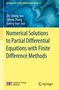 Numerical Solutions to Partial Differential Equations with Finite Difference Methods. Blaues abstraktes Muster als Hintergrund., Buch
